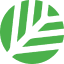 CNPY logo